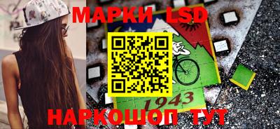 молекула духа Кингисепп