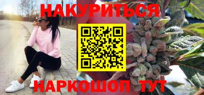молекула духа Кингисепп