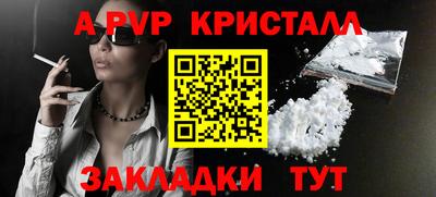 молекула духа Кингисепп
