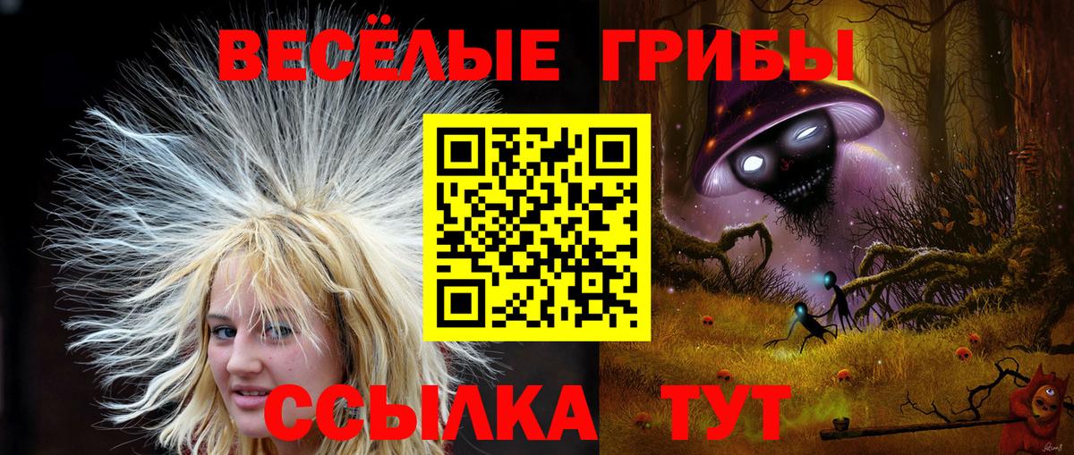 Коркино  Галлюциногенные грибы мицелий  Вход с VPN  Галлюциногенные грибы Magic Shrooms 